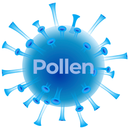 air pollution in car by pollen